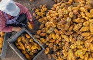 Experiências inovadoras no agroturismo valorizam o trabalho no campo e colocam produtores rurais como protagonistas do turismo