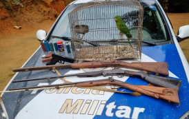 OPERAÇÃO POLICIAL APREENDE ARMAS, MUNIÇÕES E ANIMAIS SILVESTRES ABATIDOS EM DIVINO DE SÂO LOURENÇO