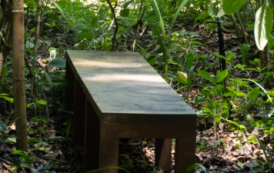 Parque Cultural Casa do Governador vai implantar agrofloresta com horta medicinal