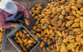 Experiências inovadoras no agroturismo valorizam o trabalho no campo e colocam produtores rurais como protagonistas do turismo