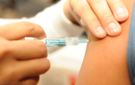 Moradores das 23 cidades da divisa com Minas Gerais serão vacinados contra febre amarela
