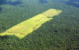 Projeto de lei quer afrouxar licenciamento ambiental no Brasil
