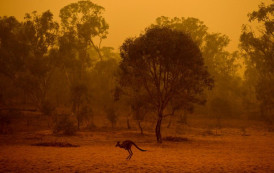 Austrália está se tornando cada vez mais inabitável