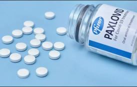 Remédio contra a COVID da Pfizer é autorizado no Brasil
