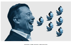 O passarinho pode ter ido longe demais, segundo Elon
