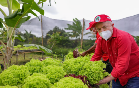 Governo autoriza crédito recorde para o agro