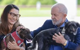 RG pra pets, verba de R$ 27 milhões pro STF e mais