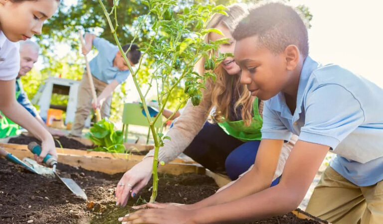 Políticas Públicas de Educação Ambiental no Brasil