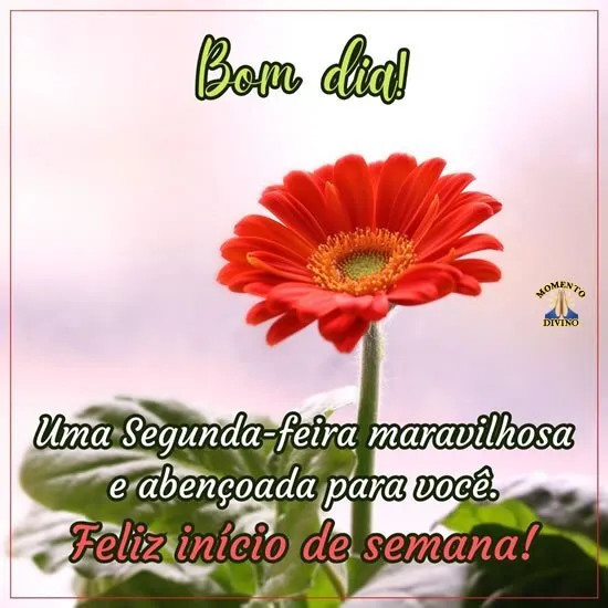 Mais um dia Mais um dia