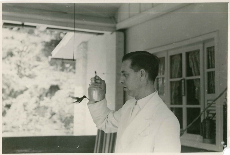 40 anos sem Augusto Ruschi, pioneiro da conservação da Mata Atlântica 40 anos sem Augusto Ruschi, pioneiro da conservação da Mata Atlântica