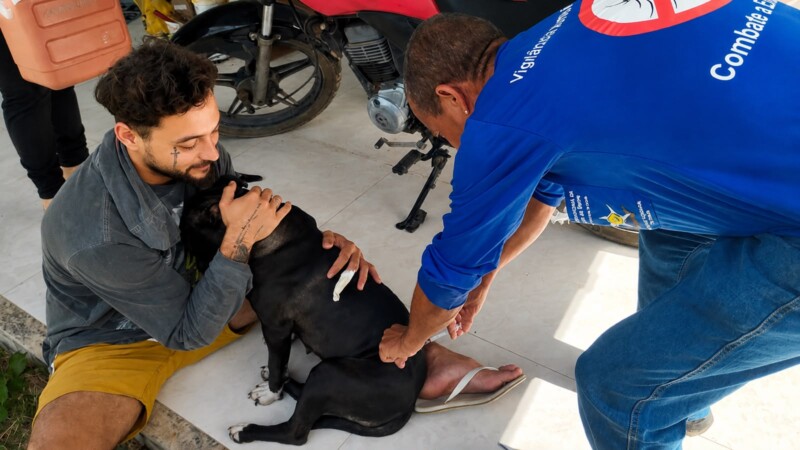 Cuidado com os pets ganha espaço nas políticas públicas municipais Cuidado com os pets ganha espaço nas políticas públicas municipais